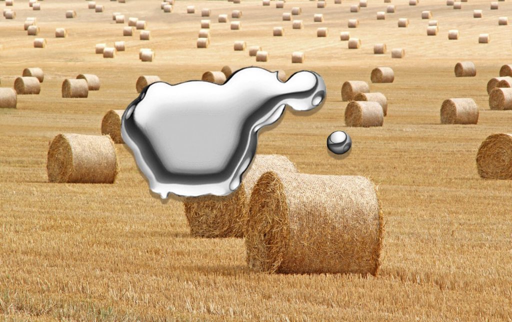 Short note on mercury image