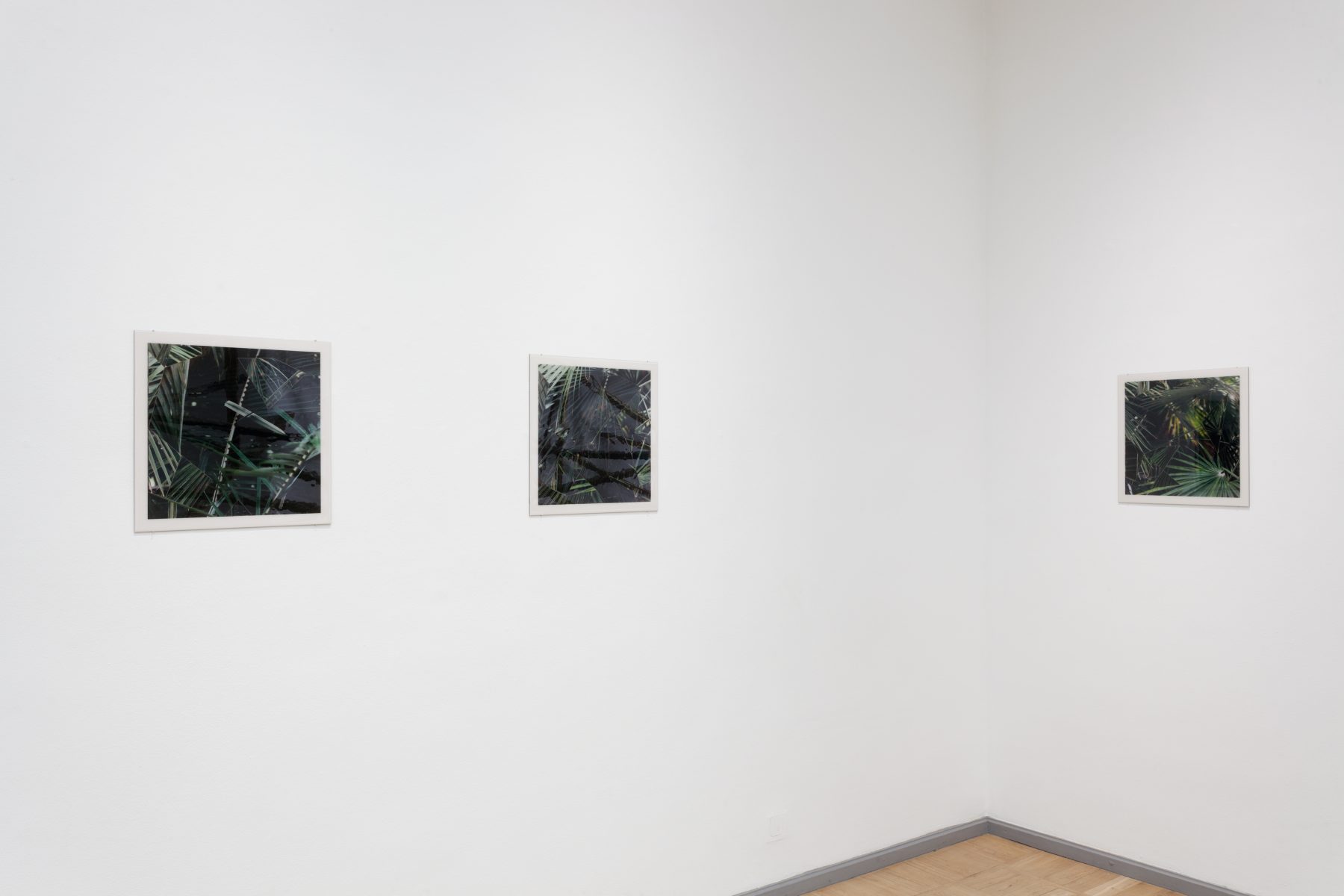 30_MG_2864