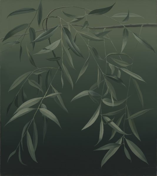 Mari Kurismaa. Silver Willow. 90 x 80 cm. Oil on canvas, 2020