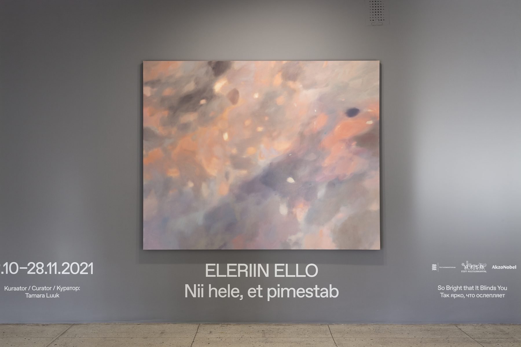 _MG_8620_KH_Galerii_Eleriin_Ello_2021_photo_Paul_Kuimet copy