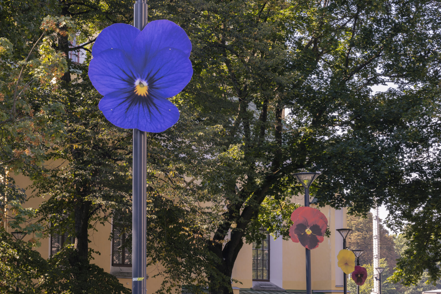 _E6A0520_Linnagalerii_Koht_oo_ja_paeva_vahel_2024_photo_Paul_Kuimet (1)