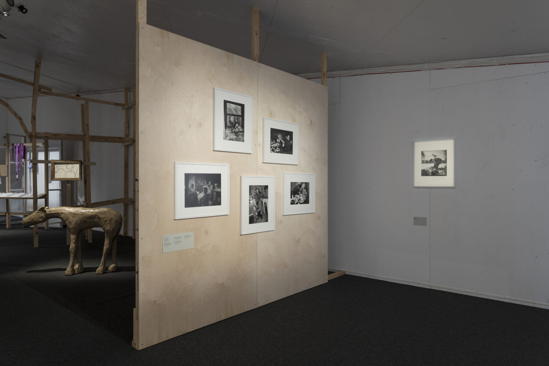 _E6A2260_Surve_all_Preiman_KH_Lasnamäe_2025_photo_Paul_Kuimet