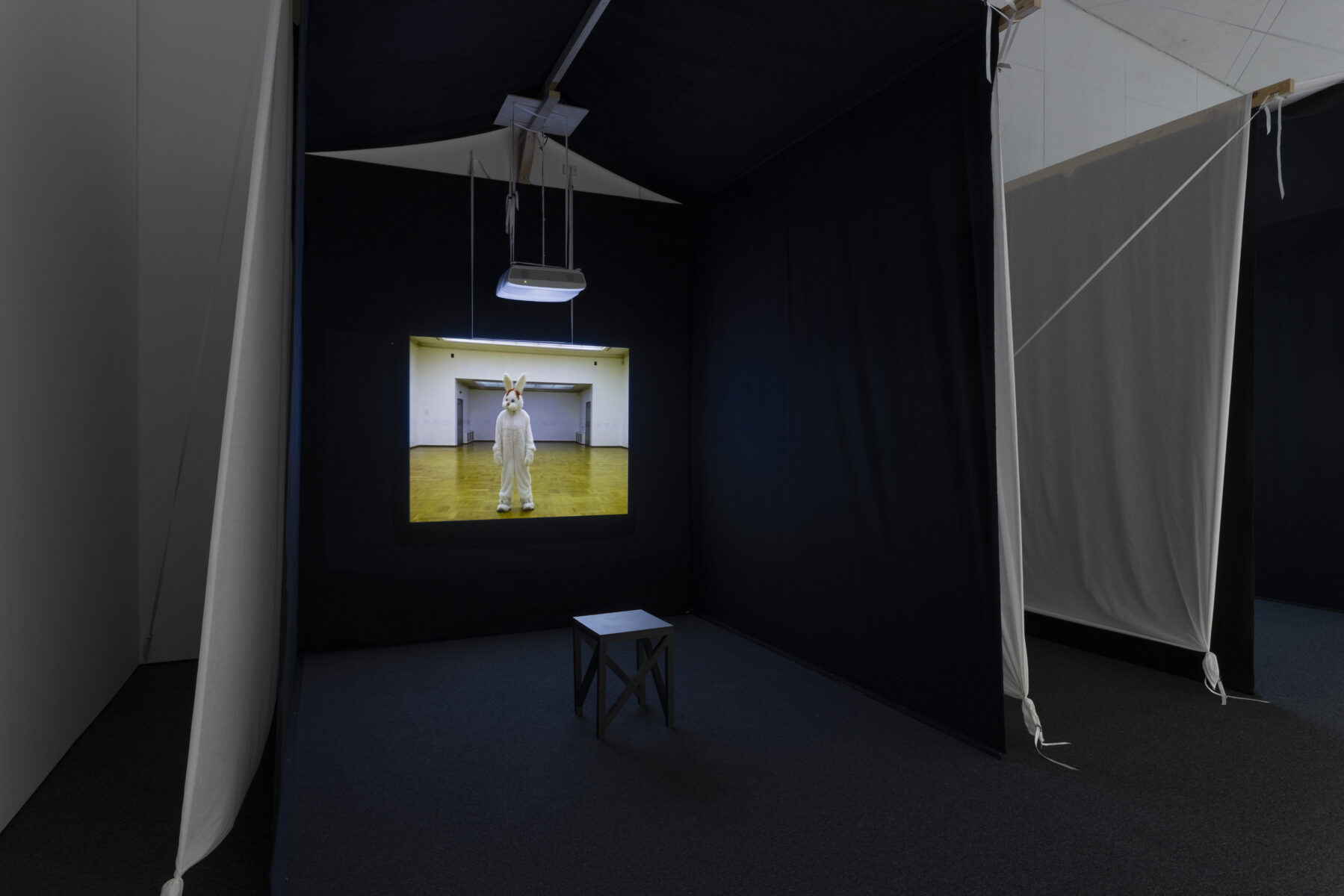 _E6A2936_Kasva_kasva_KH_Lasnamae__2025_photo_Paul_Kuimet (1)