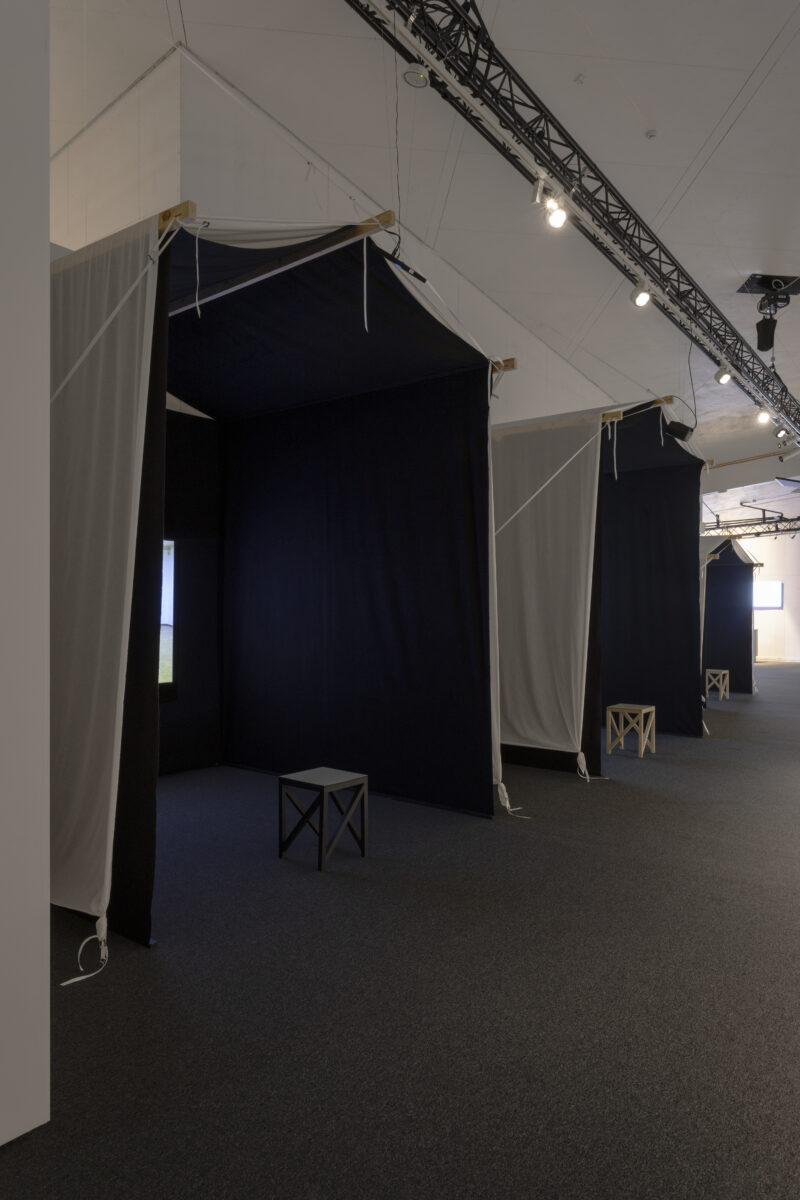 _E6A2941_Kasva_kasva_KH_Lasnamae__2025_photo_Paul_Kuimet (1)