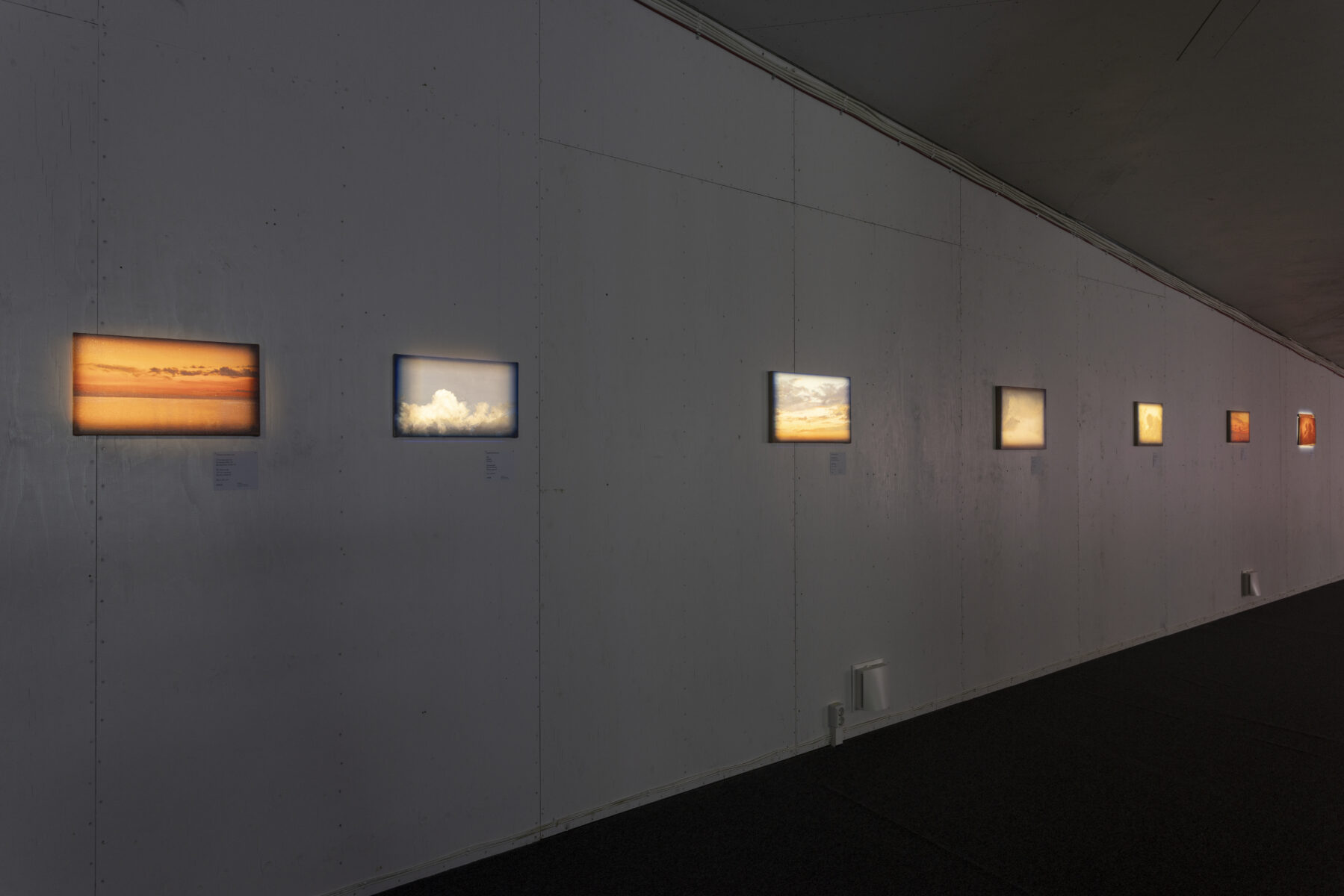 _E6A2986_Kasva_kasva_KH_Lasnamae__2025_photo_Paul_Kuimet