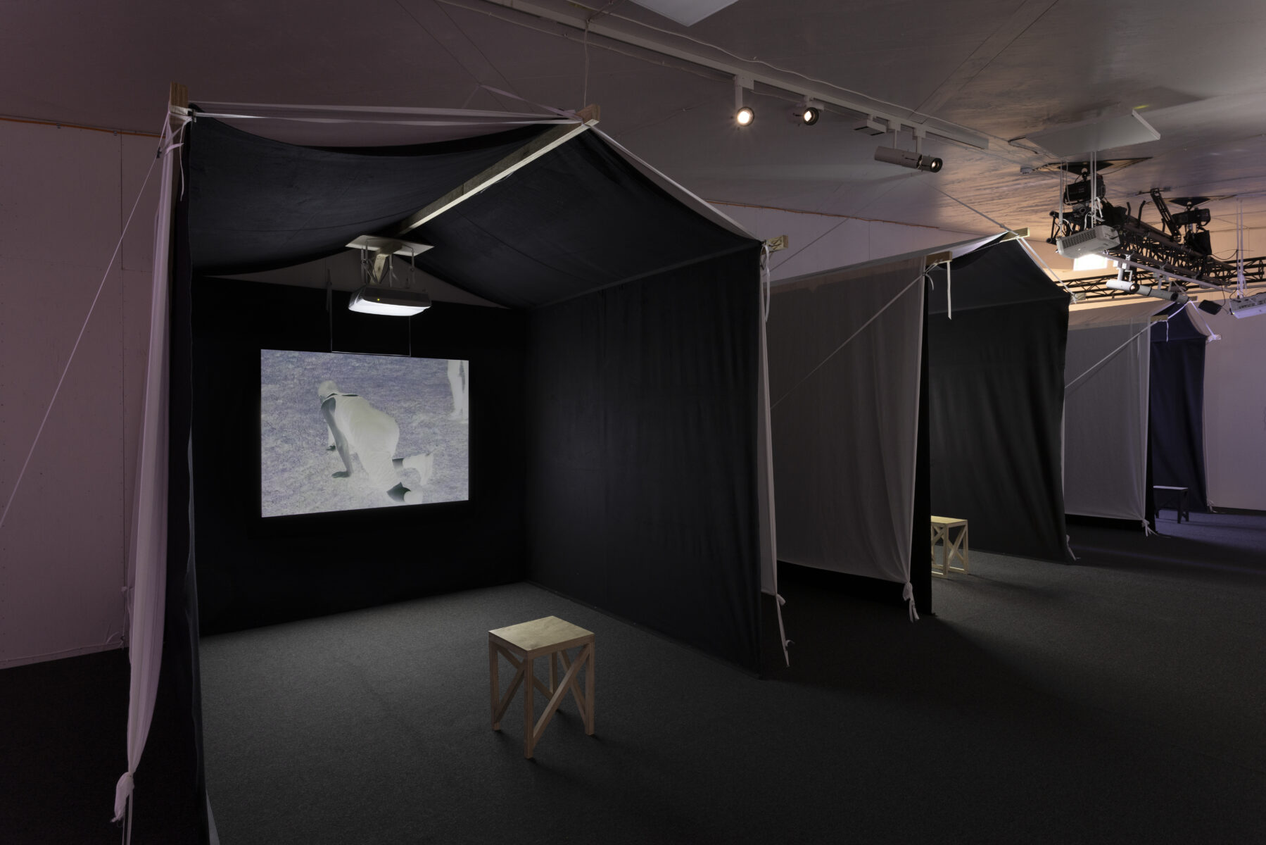 _E6A2998_Kasva_kasva_KH_Lasnamae__2025_photo_Paul_Kuimet