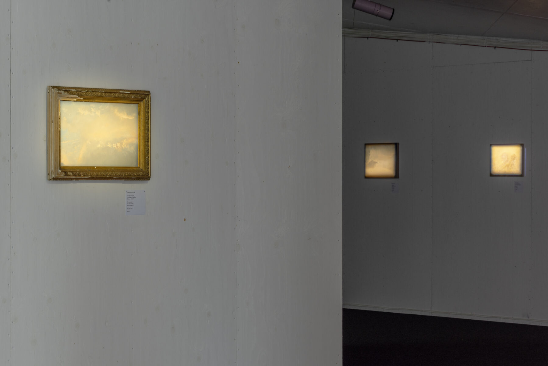 _E6A3006_Kasva_kasva_KH_Lasnamae__2025_photo_Paul_Kuimet