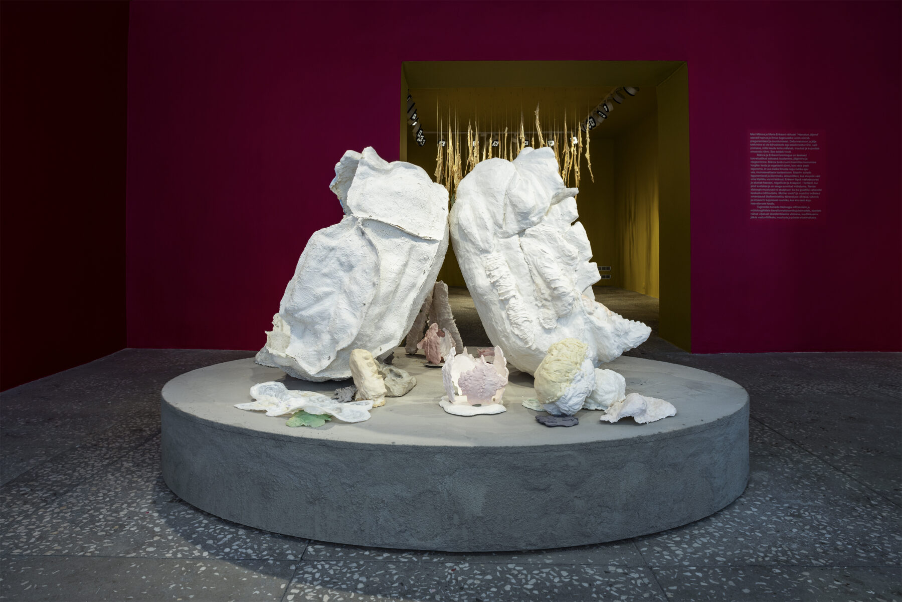 4_E6A3111_Erikson_Manna_KH_Linnagalerii__2026_photo_Paul_Kuimet copy