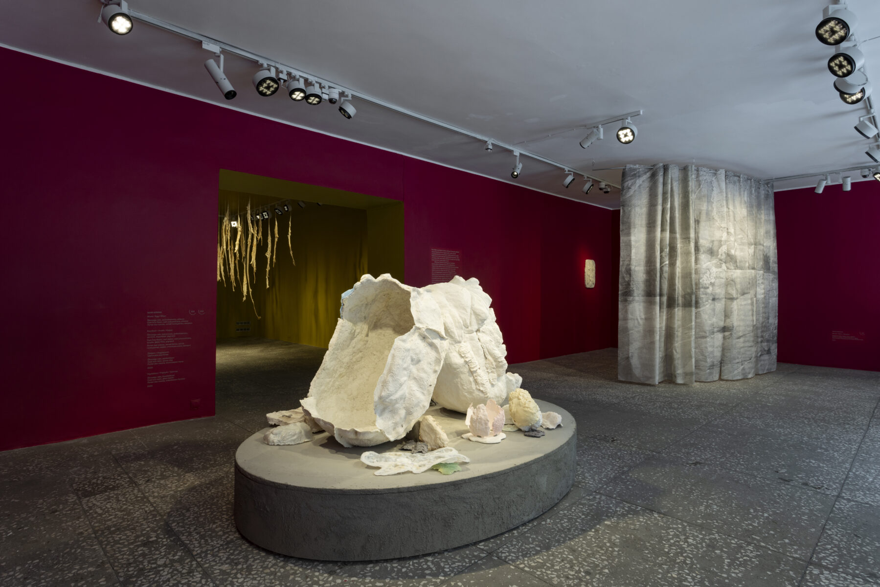 _E6A3051_Erikson_Manna_KH_Linnagalerii__2026_photo_Paul_Kuimet