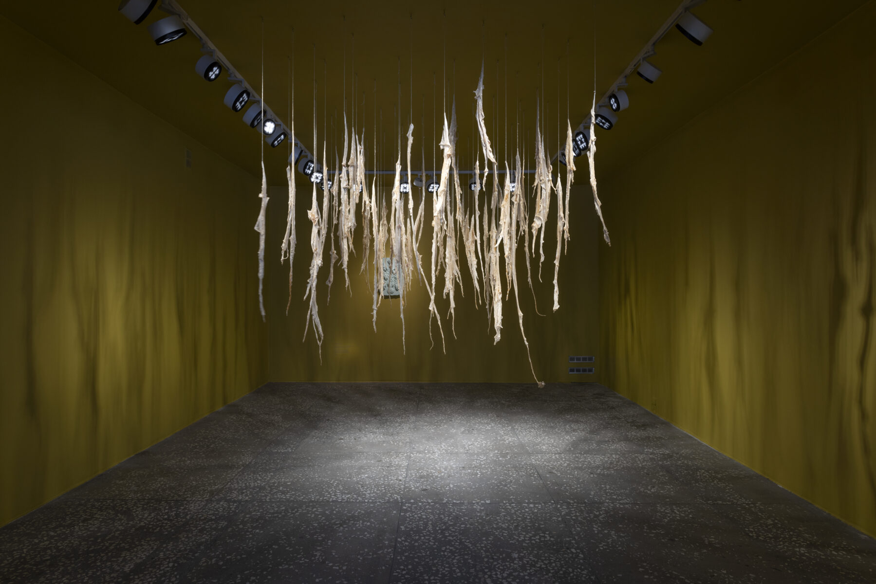 _E6A3071_Erikson_Manna_KH_Linnagalerii__2026_photo_Paul_Kuimet