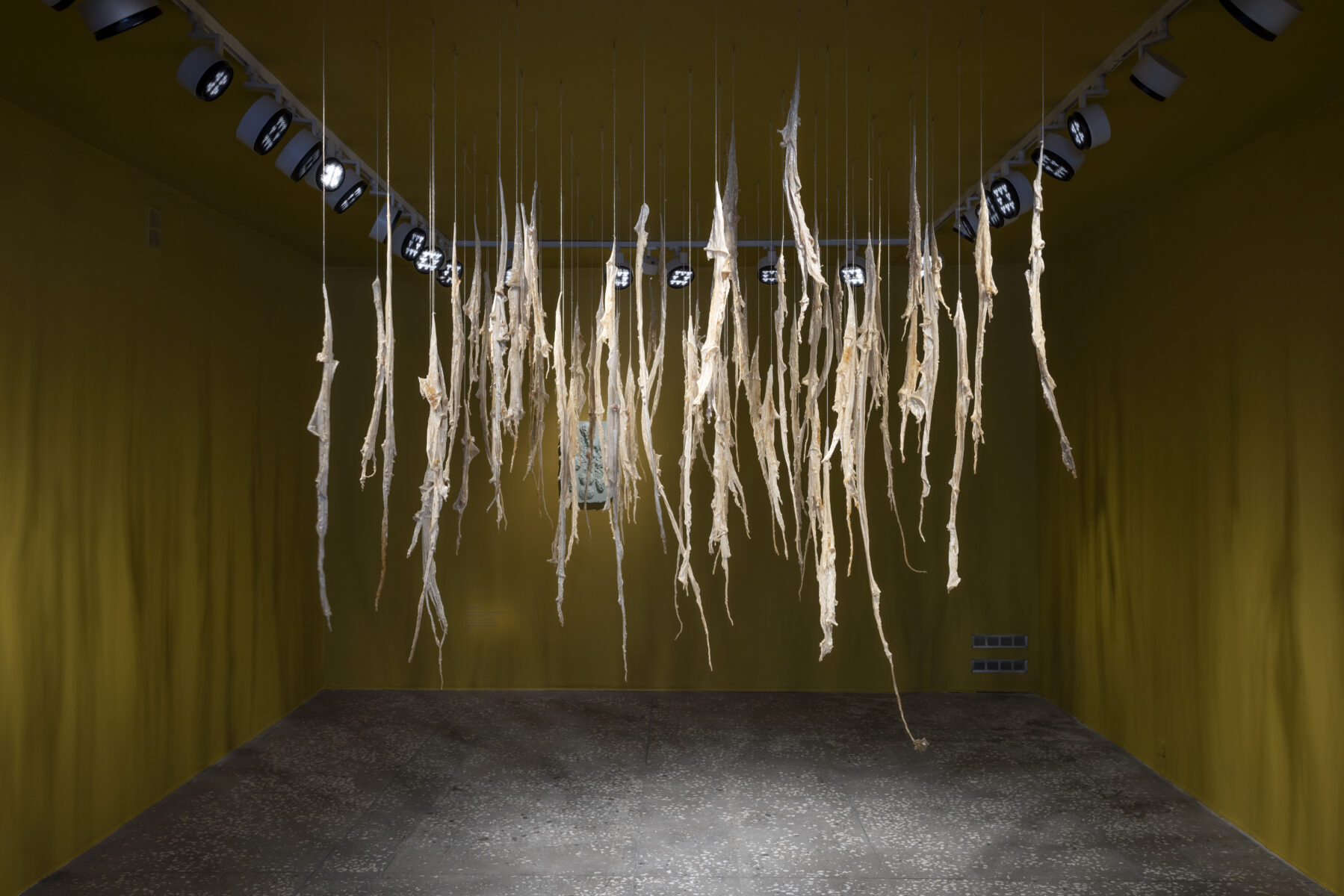 _E6A3072_Erikson_Manna_KH_Linnagalerii__2026_photo_Paul_Kuimet