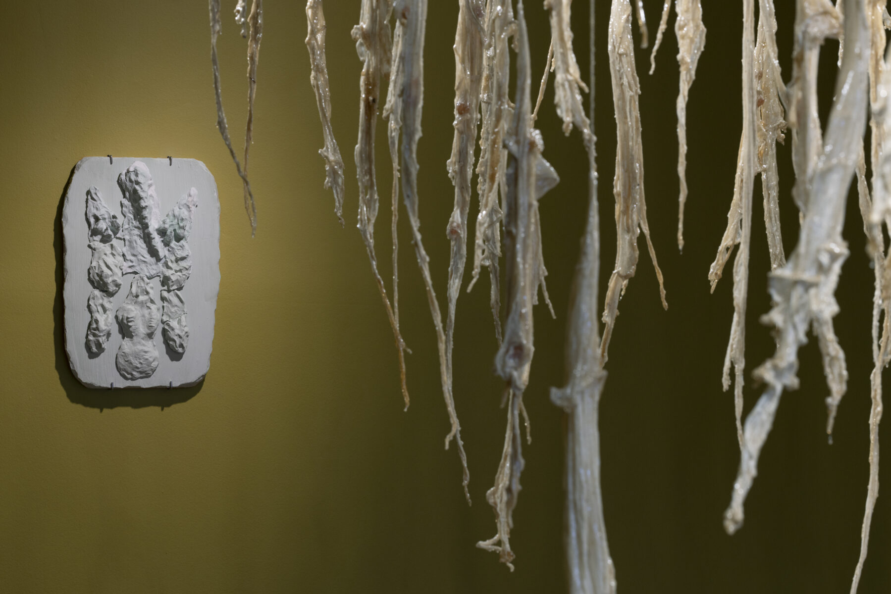 _E6A3075_Erikson_Manna_KH_Linnagalerii__2026_photo_Paul_Kuimet