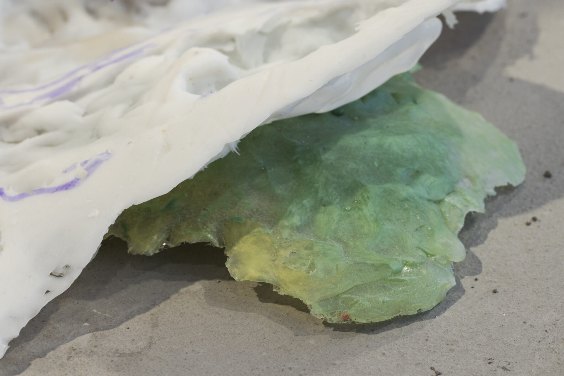 _E6A3096_Erikson_Manna_KH_Linnagalerii__2026_photo_Paul_Kuimet