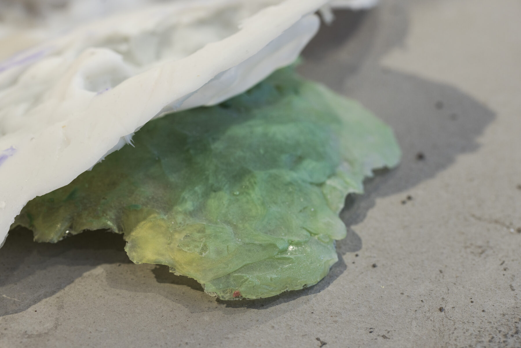 _E6A3098_Erikson_Manna_KH_Linnagalerii__2026_photo_Paul_Kuimet