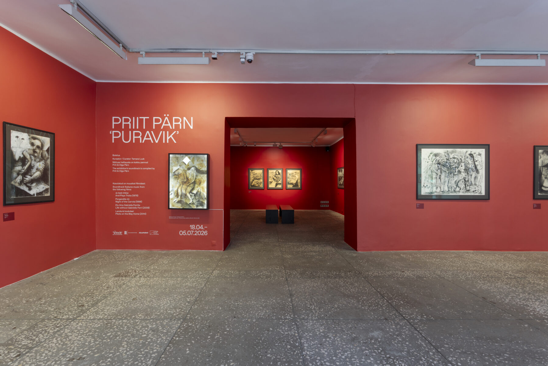 _E6A3633_Linnagalerii_Priit_Pärn_2026_photo_Paul_Kuimet
