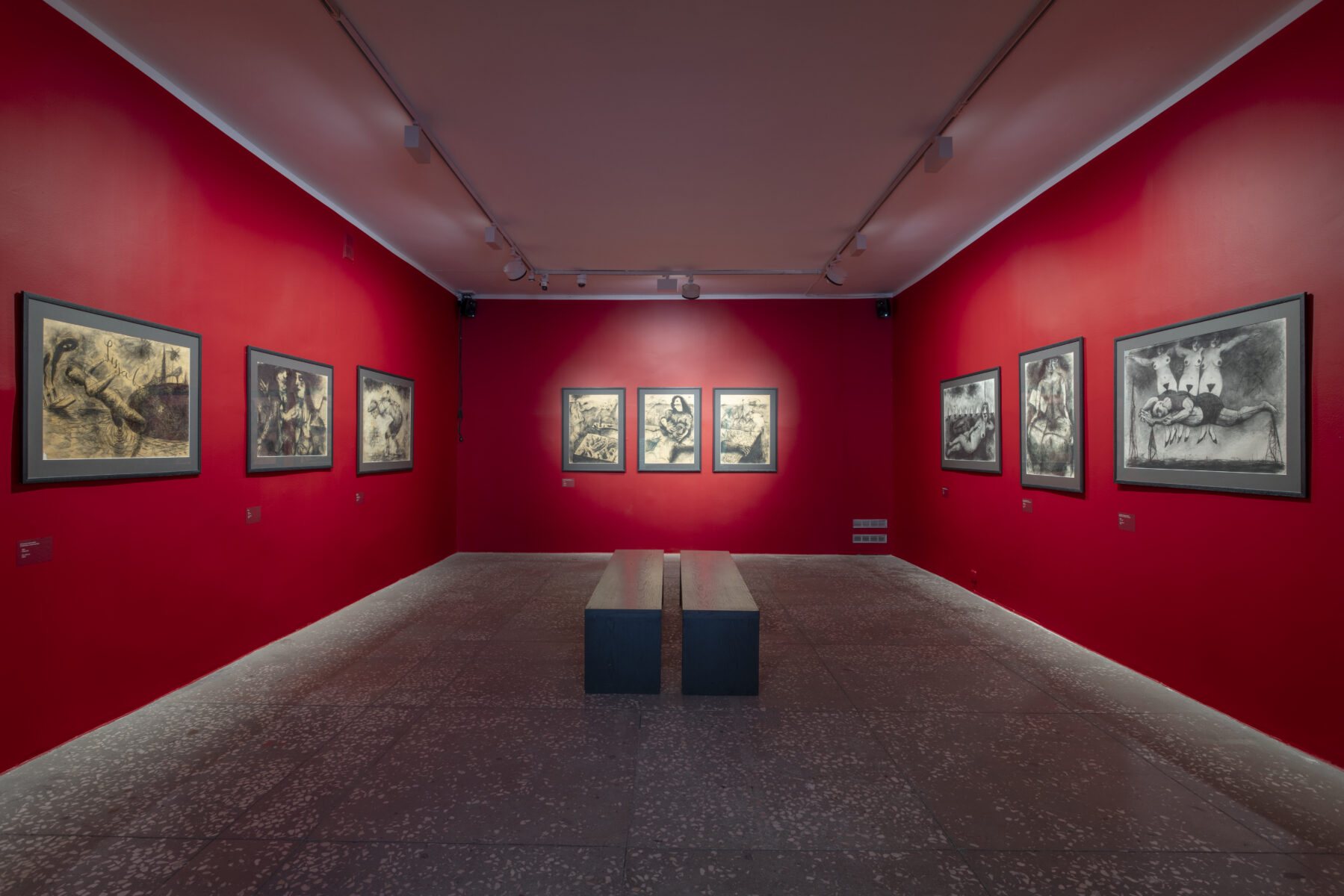 _E6A3645_Linnagalerii_Priit_Pärn_2026_photo_Paul_Kuimet